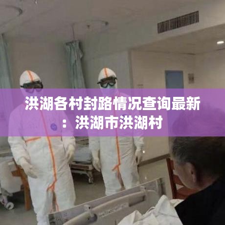 洪湖各村封路情况查询最新：洪湖市洪湖村 