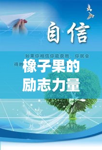 橡子果的励志力量，坚韧不拔，迈向成功的启示