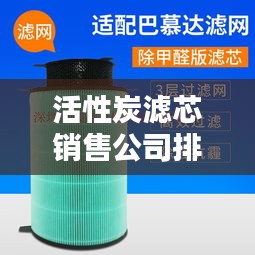 活性炭滤芯销售公司排行榜及行业影响力解析