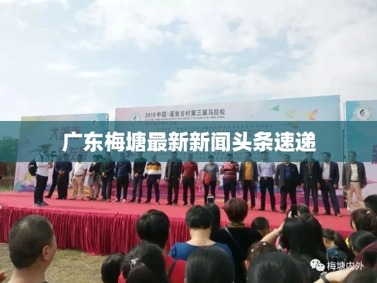广东梅塘最新新闻头条速递