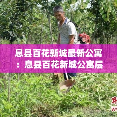 息县百花新城最新公寓：息县百花新城公寓层高 