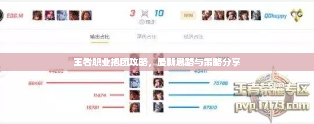 王者职业抱团攻略，最新思路与策略分享