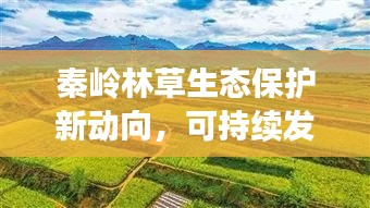 秦岭林草生态保护新动向，可持续发展引领新闻头条