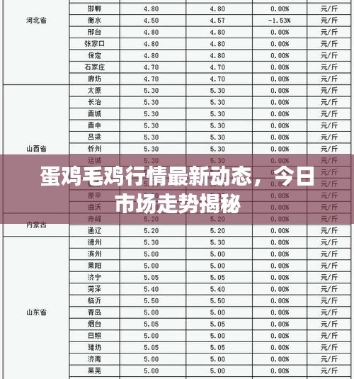 蛋鸡毛鸡行情最新动态，今日市场走势揭秘