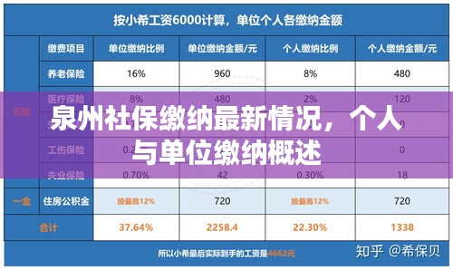 泉州社保缴纳最新情况，个人与单位缴纳概述