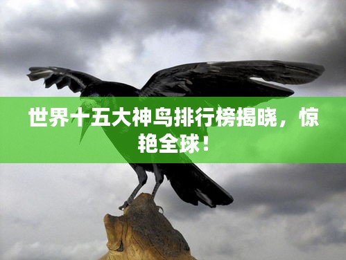 世界十五大神鸟排行榜揭晓，惊艳全球！