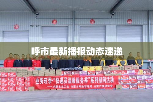 呼市最新播报动态速递