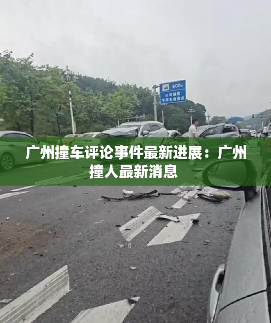 广州撞车评论事件最新进展：广州撞人最新消息 