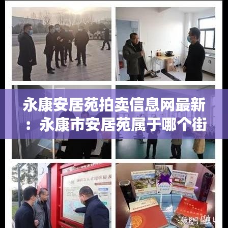 永康安居苑拍卖信息网最新：永康市安居苑属于哪个街道 