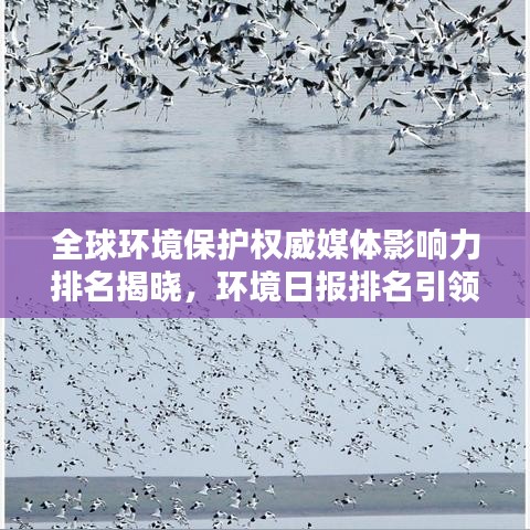 全球环境保护权威媒体影响力排名揭晓，环境日报排名引领世界环保舆论风向标