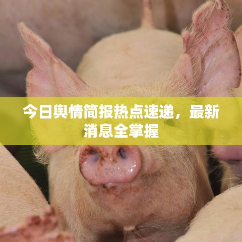 今日舆情简报热点速递，最新消息全掌握