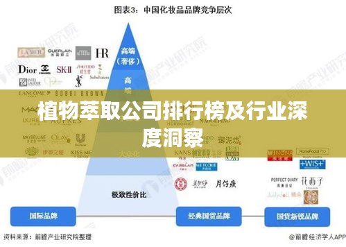 植物萃取公司排行榜及行业深度洞察