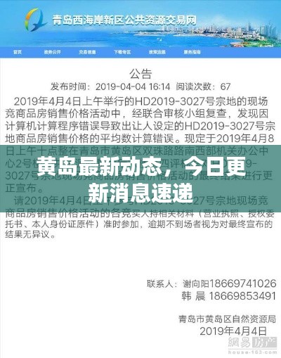 黄岛最新动态，今日更新消息速递