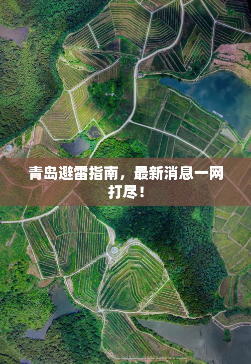 青岛避雷指南，最新消息一网打尽！
