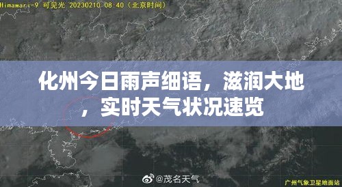 化州今日雨声细语，滋润大地，实时天气状况速览