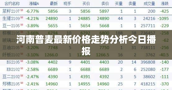 河南普麦最新价格走势分析今日播报