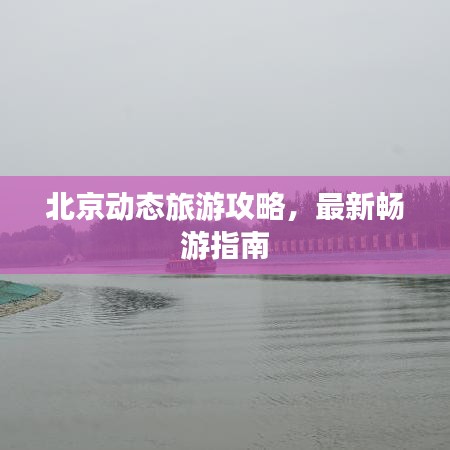 铺张扬厉 第2页