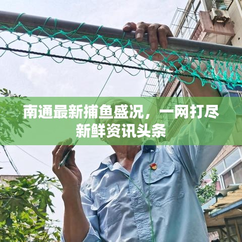 南通最新捕鱼盛况，一网打尽新鲜资讯头条