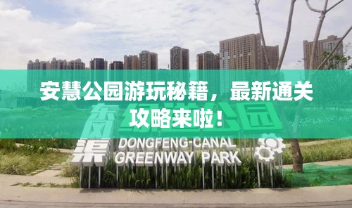 安慧公园游玩秘籍，最新通关攻略来啦！