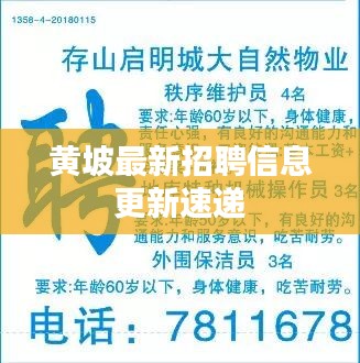黄坡最新招聘信息更新速递