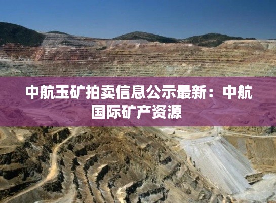 中航玉矿拍卖信息公示最新：中航国际矿产资源 