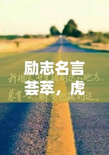 励志名言荟萃，虎哥语录激励人生之路