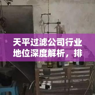 天平过滤公司行业地位深度解析，排名背后的实力揭秘