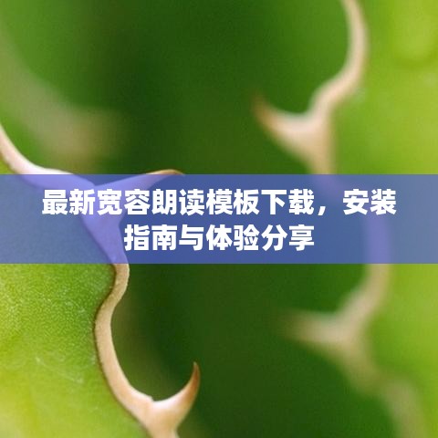 最新宽容朗读模板下载，安装指南与体验分享
