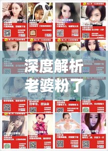 深度解析老婆粉了解一下txt 百度云，作品魅力大揭秘！
