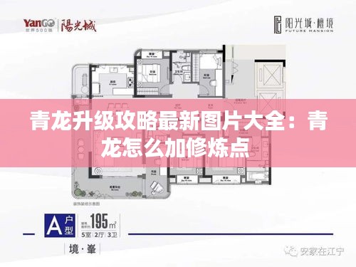 青龙升级攻略最新图片大全：青龙怎么加修炼点 