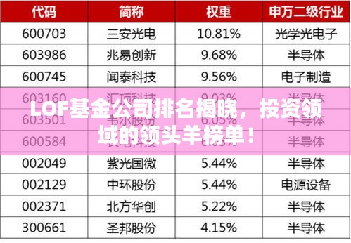 LOF基金公司排名揭晓，投资领域的领头羊榜单！
