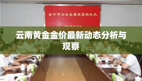 云南黄金金价最新动态分析与观察