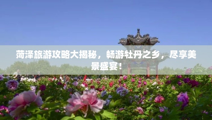 张口掉舌 第2页