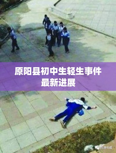 原阳县初中生轻生事件最新进展