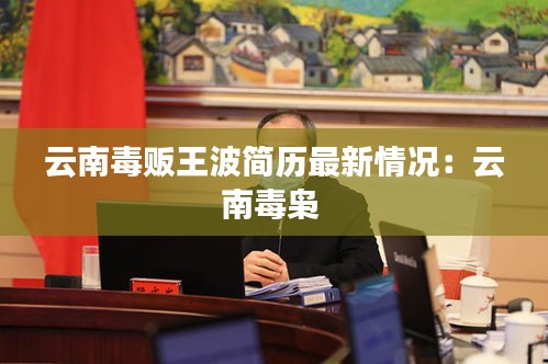 云南毒贩王波简历最新情况：云南毒枭 