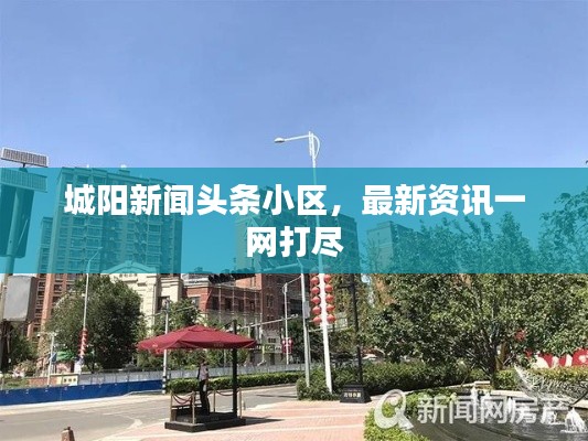 城阳新闻头条小区，最新资讯一网打尽