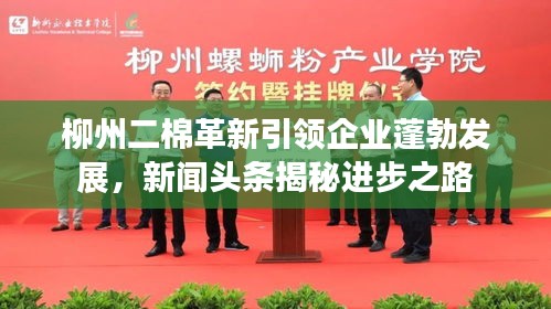 柳州二棉革新引领企业蓬勃发展，新闻头条揭秘进步之路