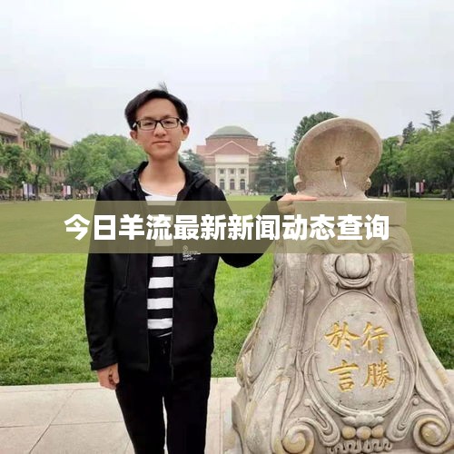 今日羊流最新新闻动态查询