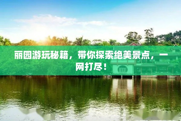 丽园游玩秘籍，带你探索绝美景点，一网打尽！