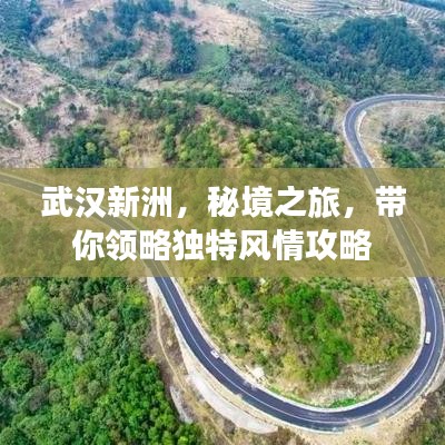 武汉新洲，秘境之旅，带你领略独特风情攻略