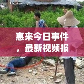 惠来今日事件，最新视频报道揭秘真相