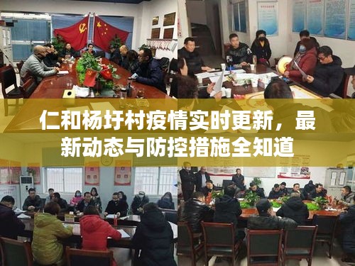 仁和杨圩村疫情实时更新，最新动态与防控措施全知道