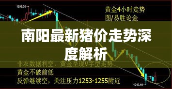 南阳最新猪价走势深度解析