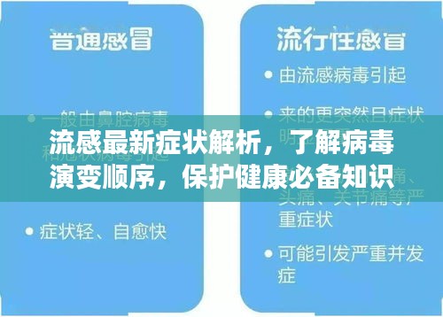 流感最新症状解析，了解病毒演变顺序，保护健康必备知识